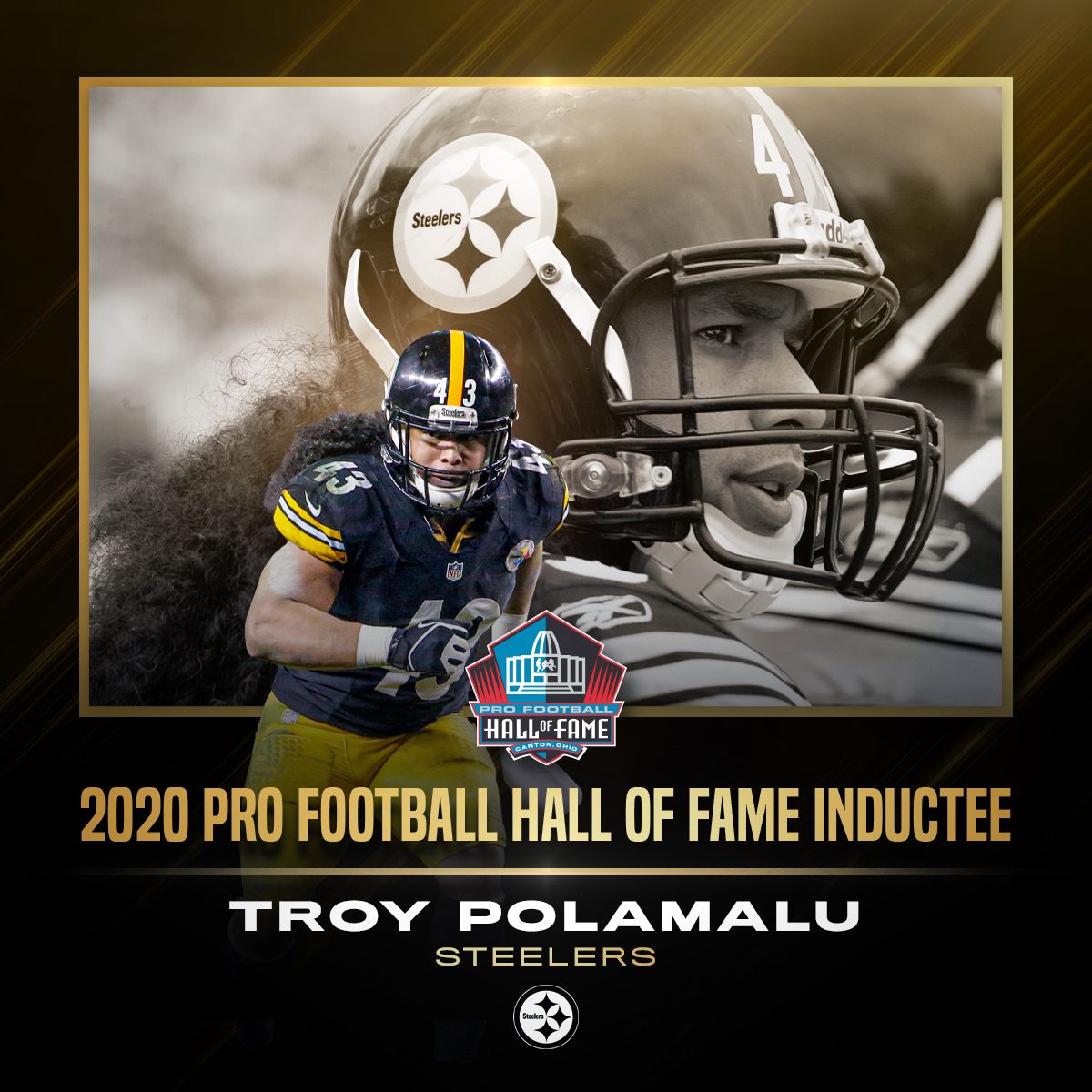 Troy Polamalu NFL Hall of Fame